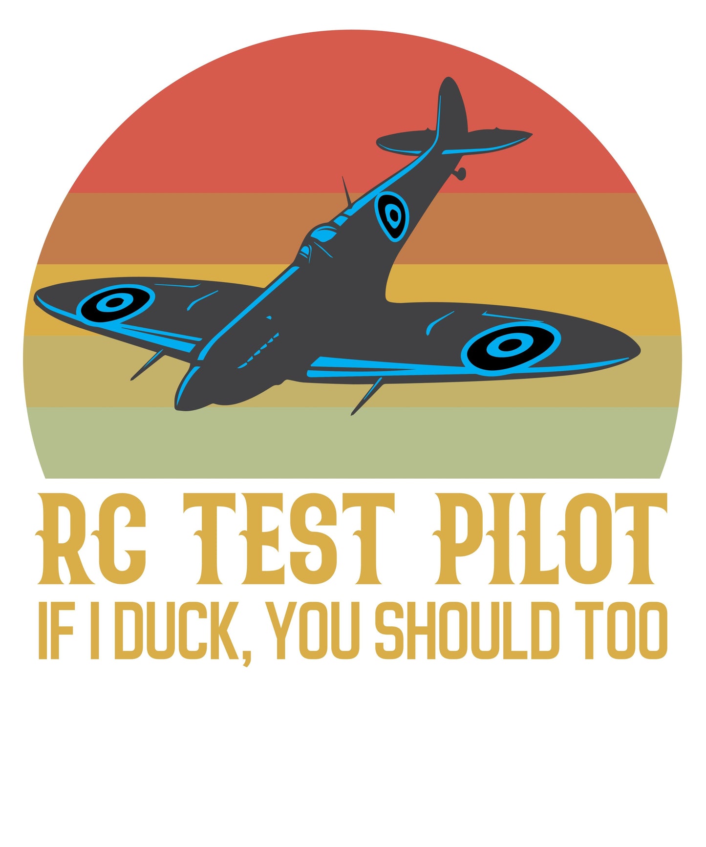 RC Test Pilo Flugzeug