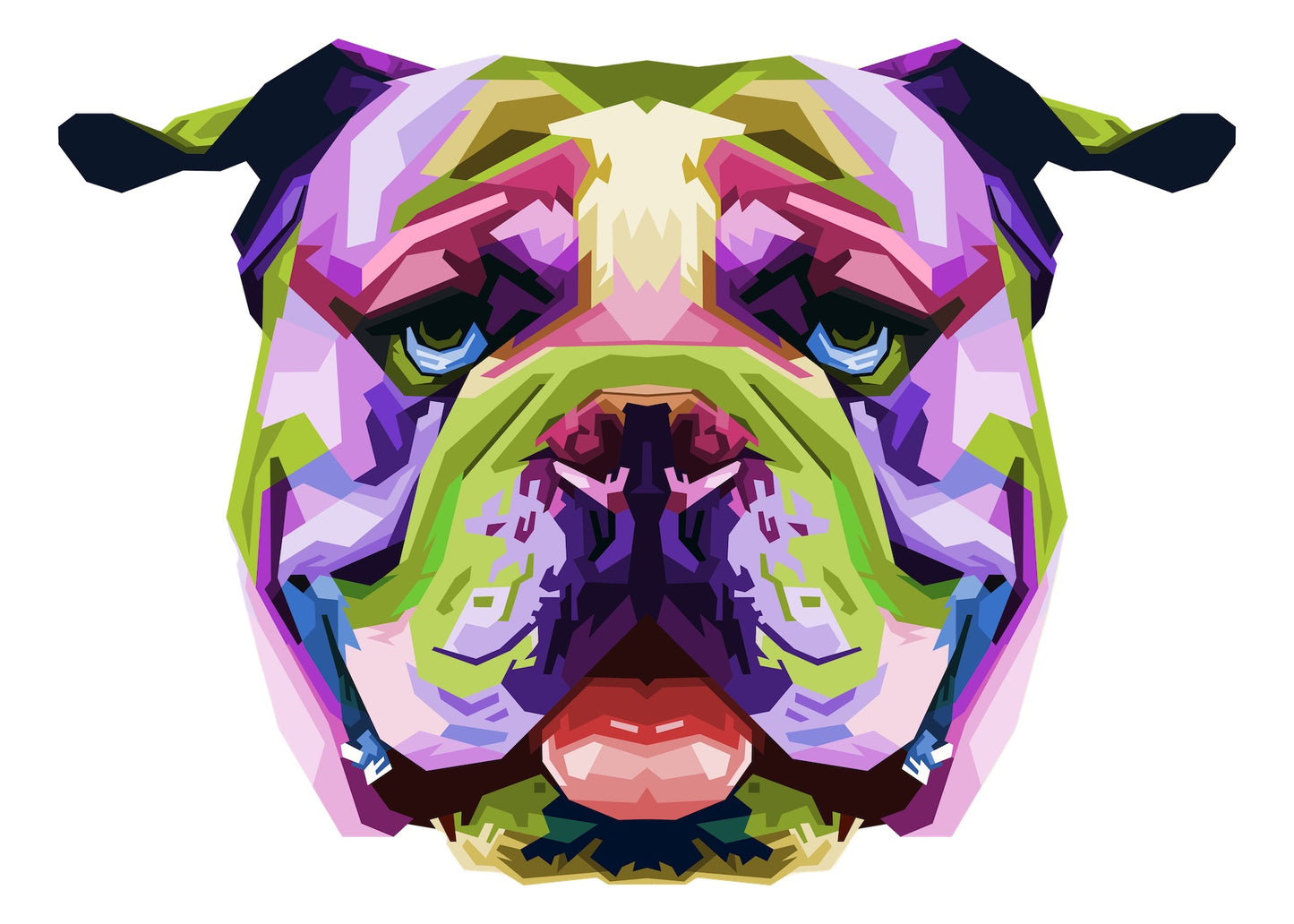 Bulldogge bunt