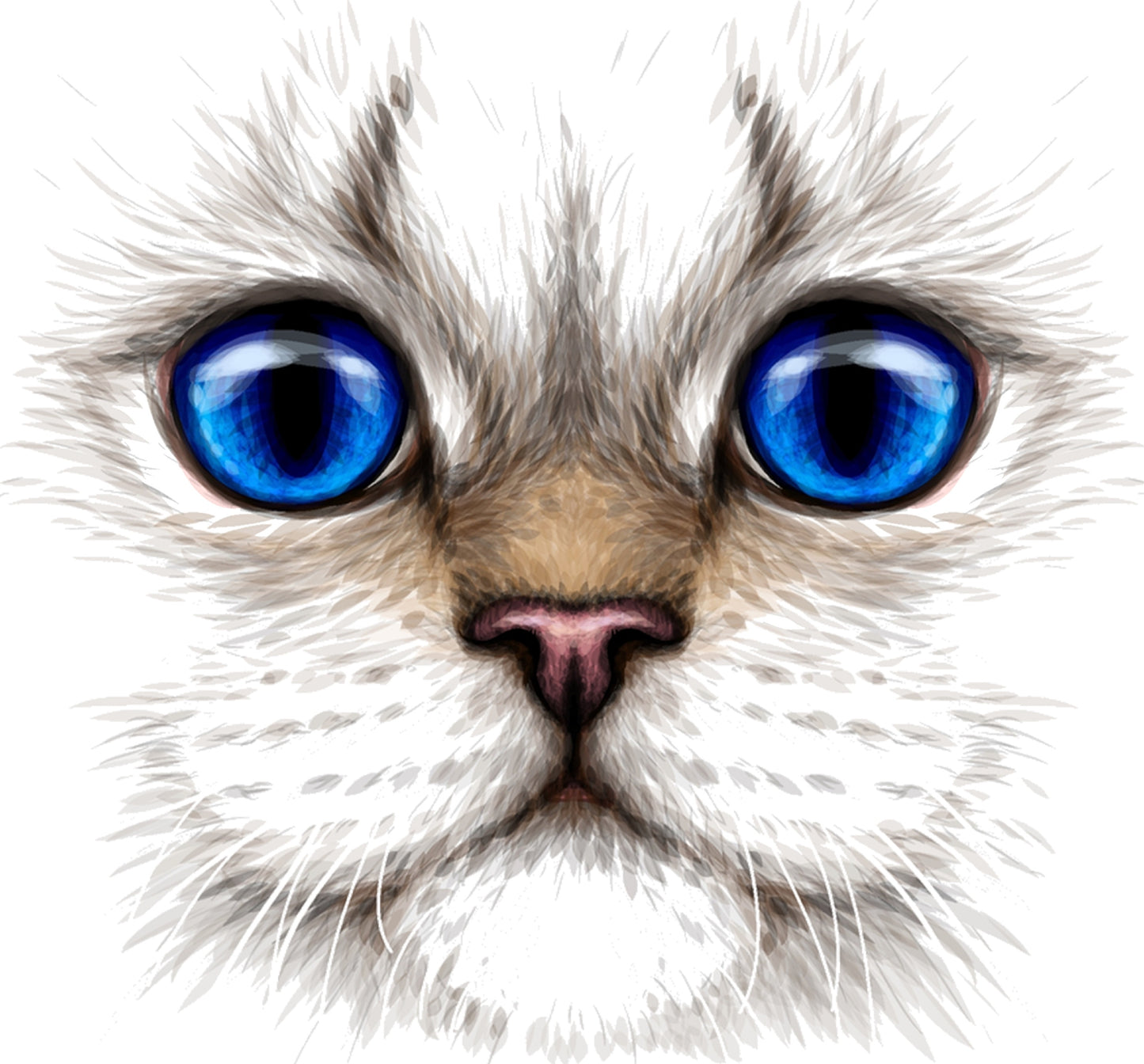 Katzengesicht