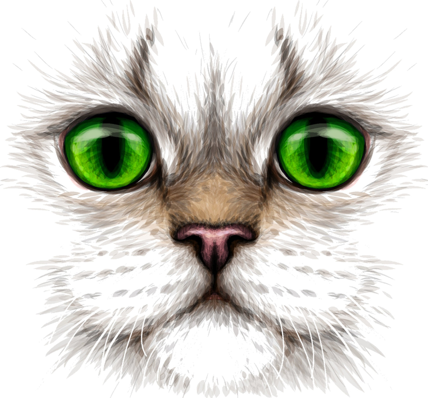 Katzengesicht