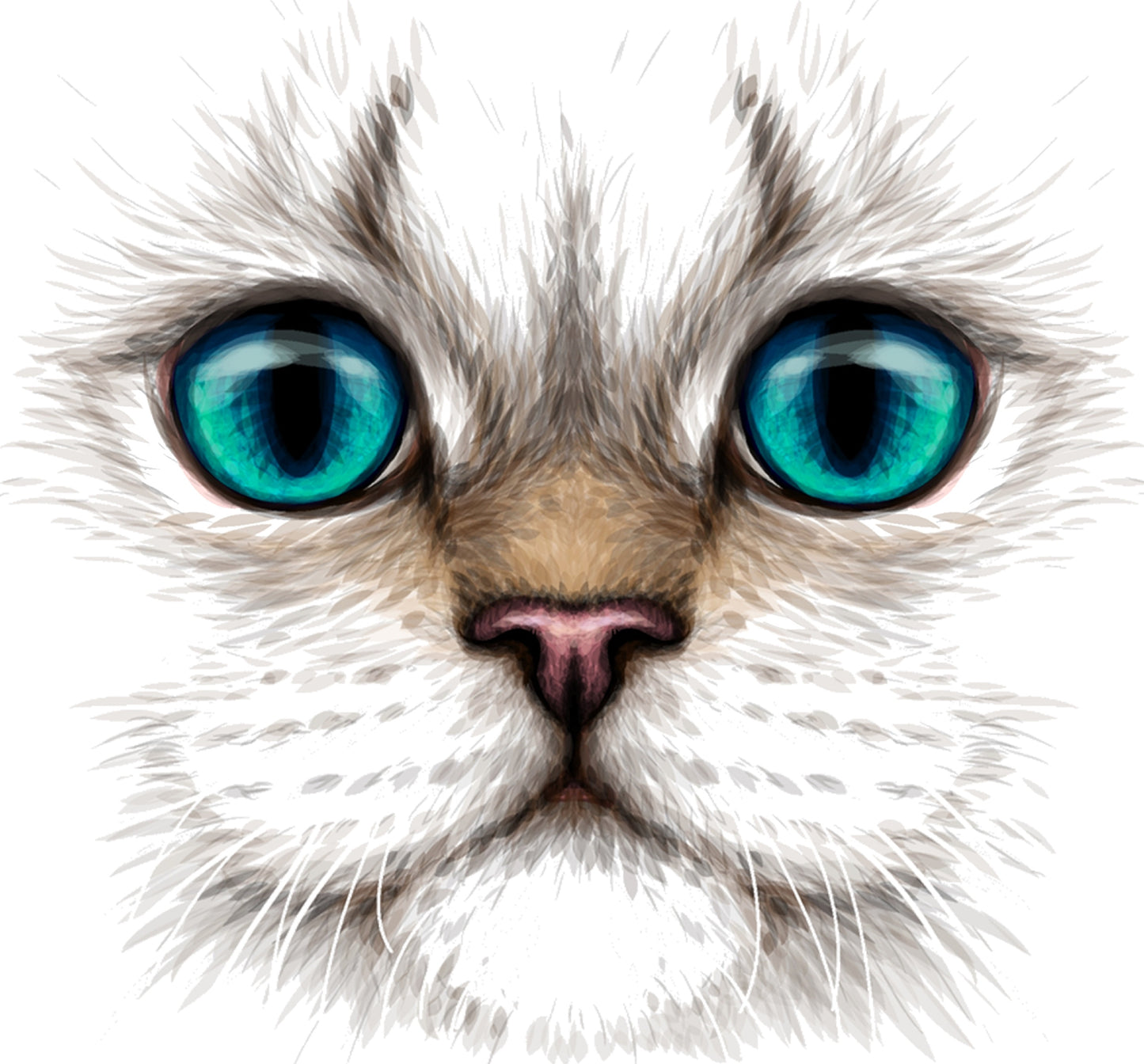 Katzengesicht
