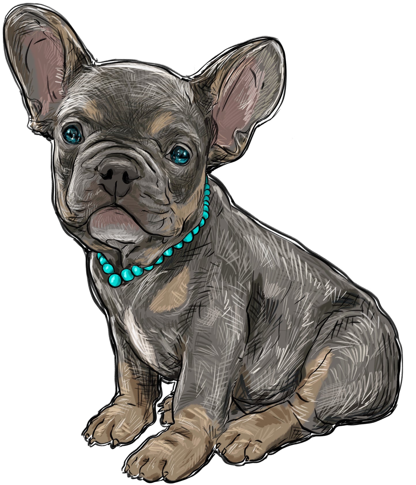 Französische Bulldogge