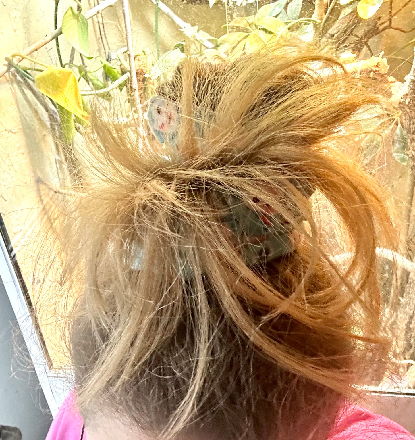 Sonnenblumen