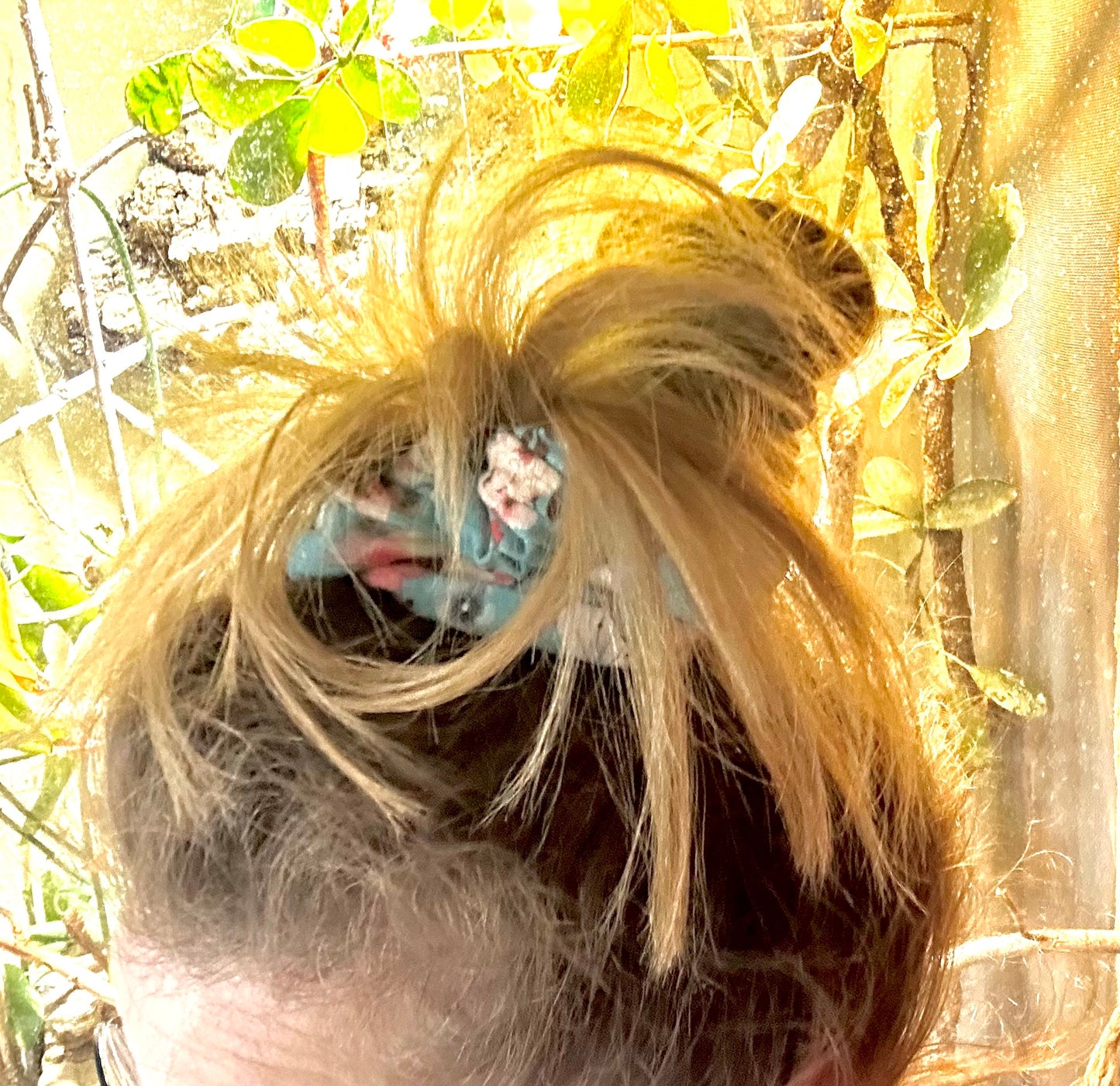 Blumen blau
