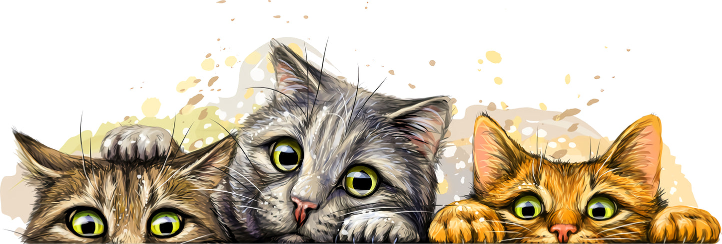 Katzen Geschwister