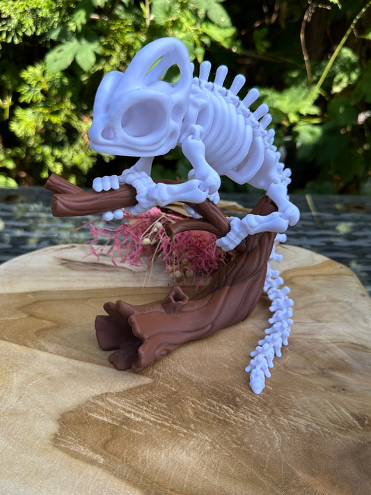 3D Chamäleon Skelett Monty