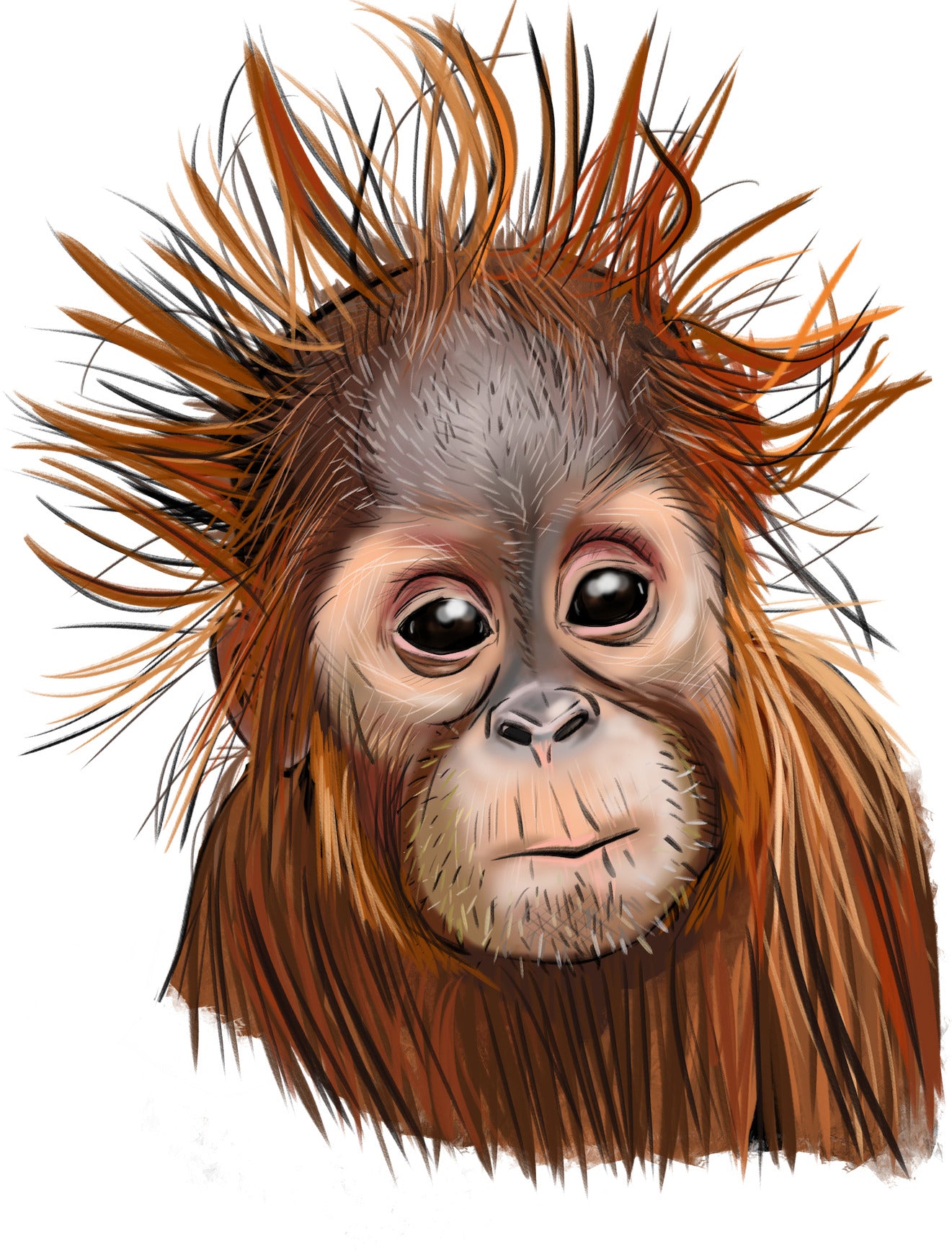 Baby Orangutan Bügelbild & UV-DTF Sticker