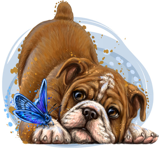 Englisch Bulldoggen Welpe | Bügelbild & UV-DTF Sticker