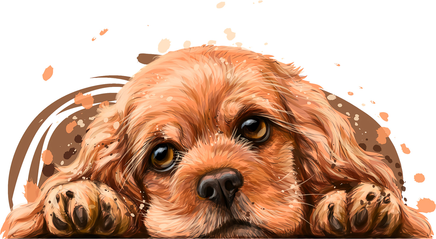 Cocker Spaniel | Bügelbild & UV-DTF Sticker
