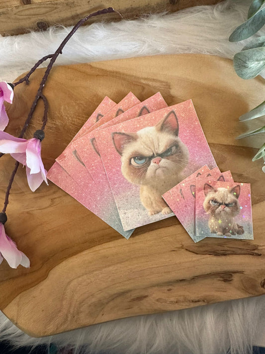 DP Cover Paper Crumpy Cat