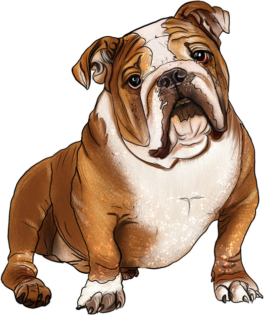 Englische Bulldogge sitzend | Bügelbild & UV-DTF Sticker