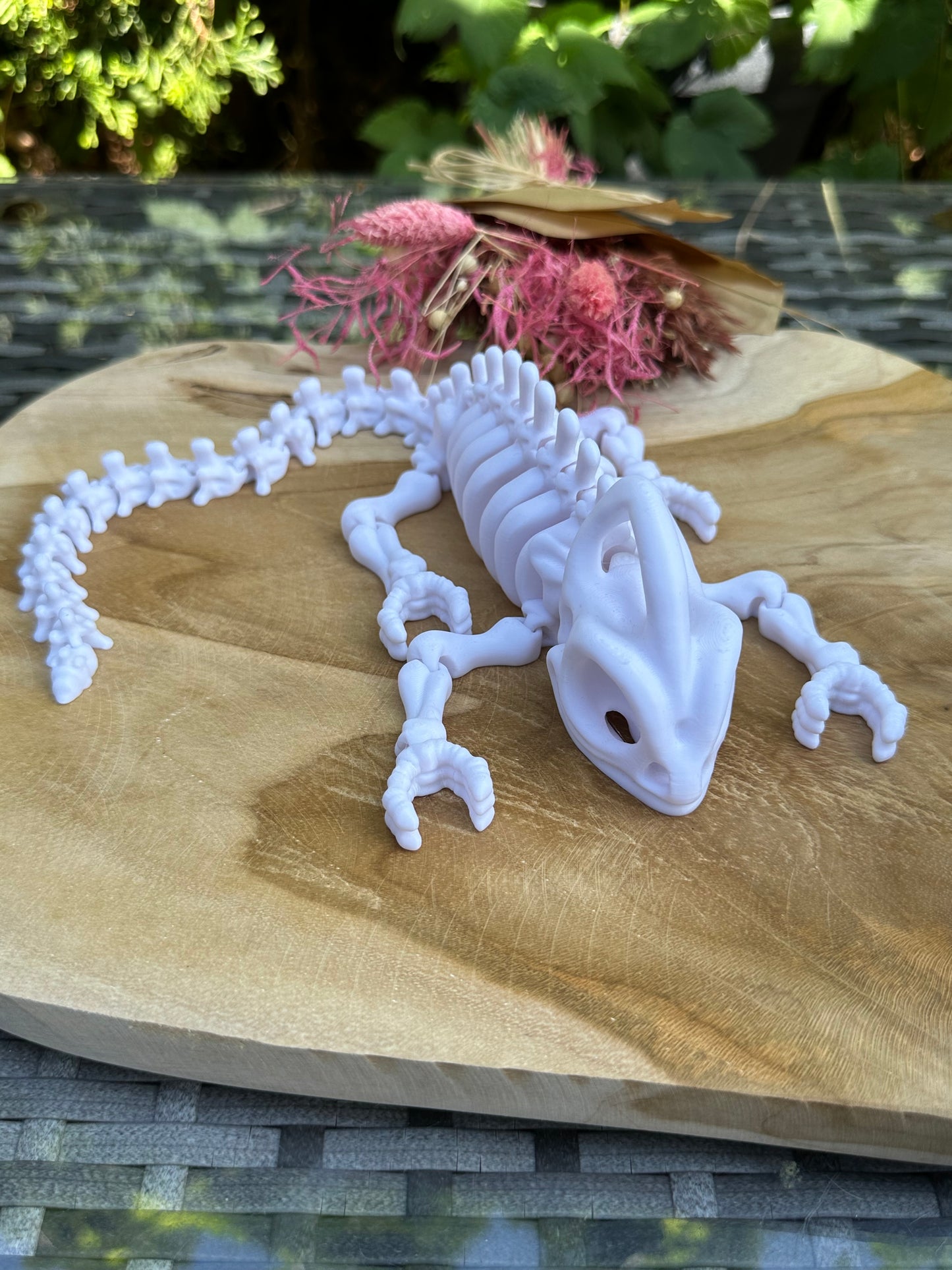 3D Chamäleon Skelett Monty