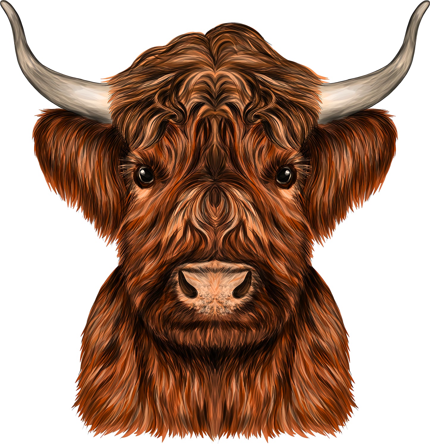 Highland Rind | Bügelbild & UV-DTF Sticker
