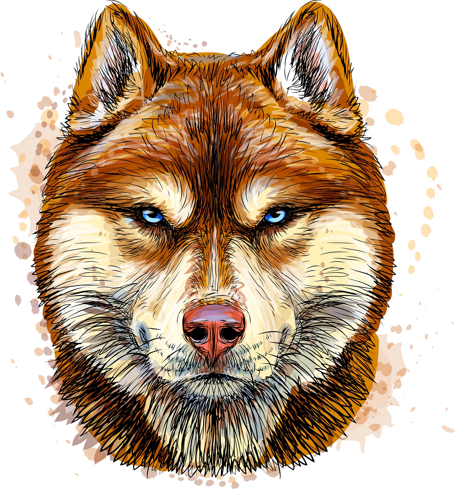 Sibirischer Husky | Bügelbild & UV-DTF Sticker