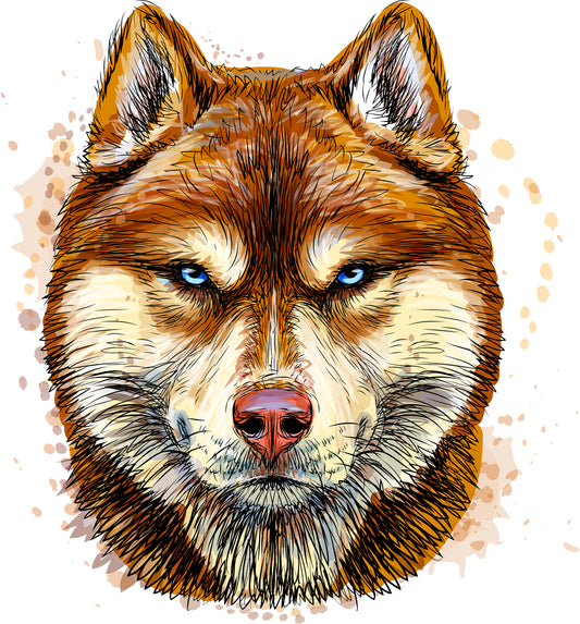 Sibirischer Husky | Bügelbild & UV-DTF Sticker