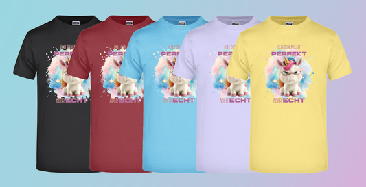T-Shirt Ich bin nicht Perfekt