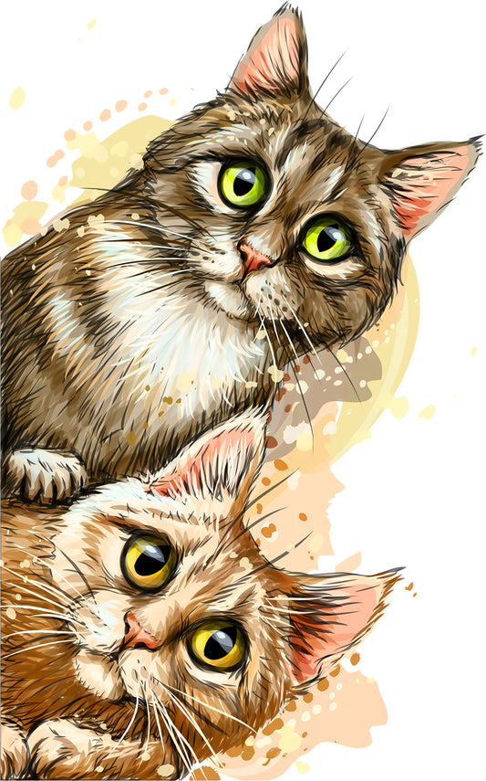 Katzen Kuck Kuck | Bügelbild & UV-DTF Sticker
