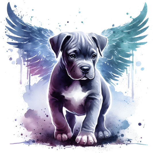 BB Pitbull mit Flügel
