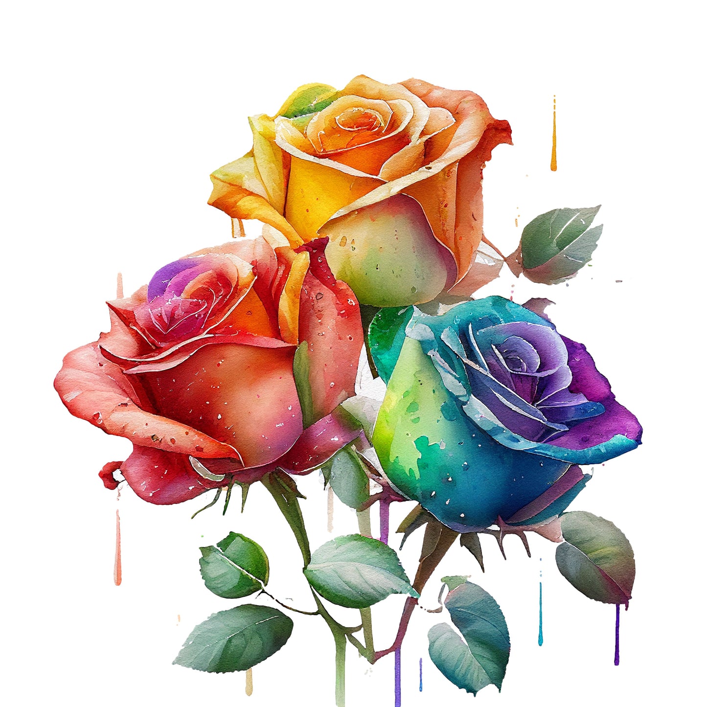 Watercolor Rosen