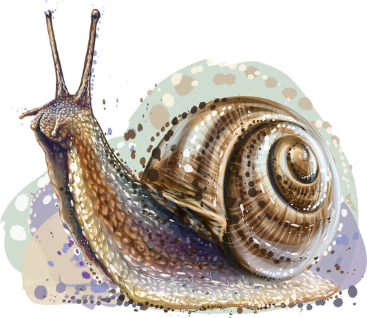 Schnecke | Bügelbild & UV-DTF Sticker