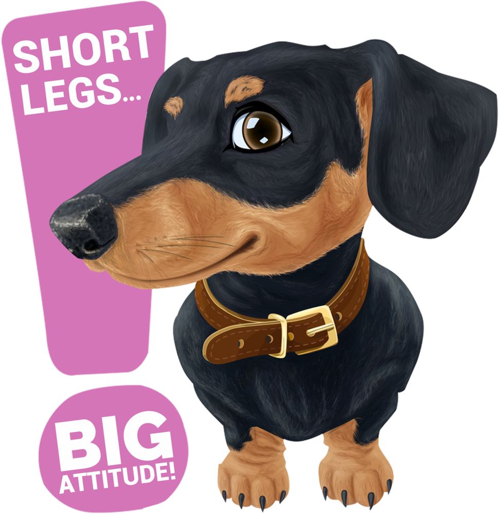 Short legs Dackel | Bügelbild & UV-DTF Sticker