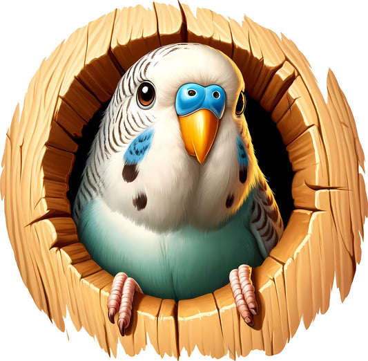 BB Wellensittich im Ast