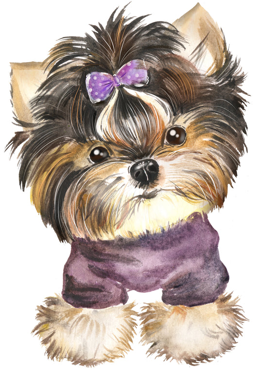 Yorkshire Terrier